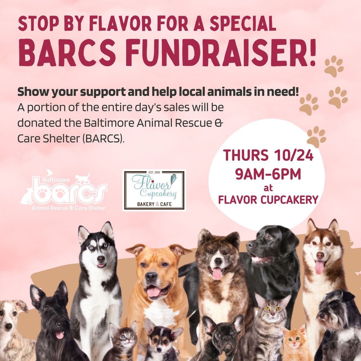 BARCS Fundraiser!