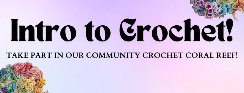 Intro To Crochet