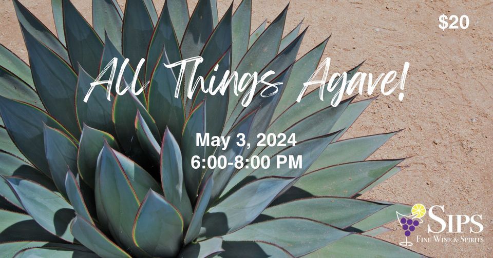 All Things Agave | Tequila & Mezcal