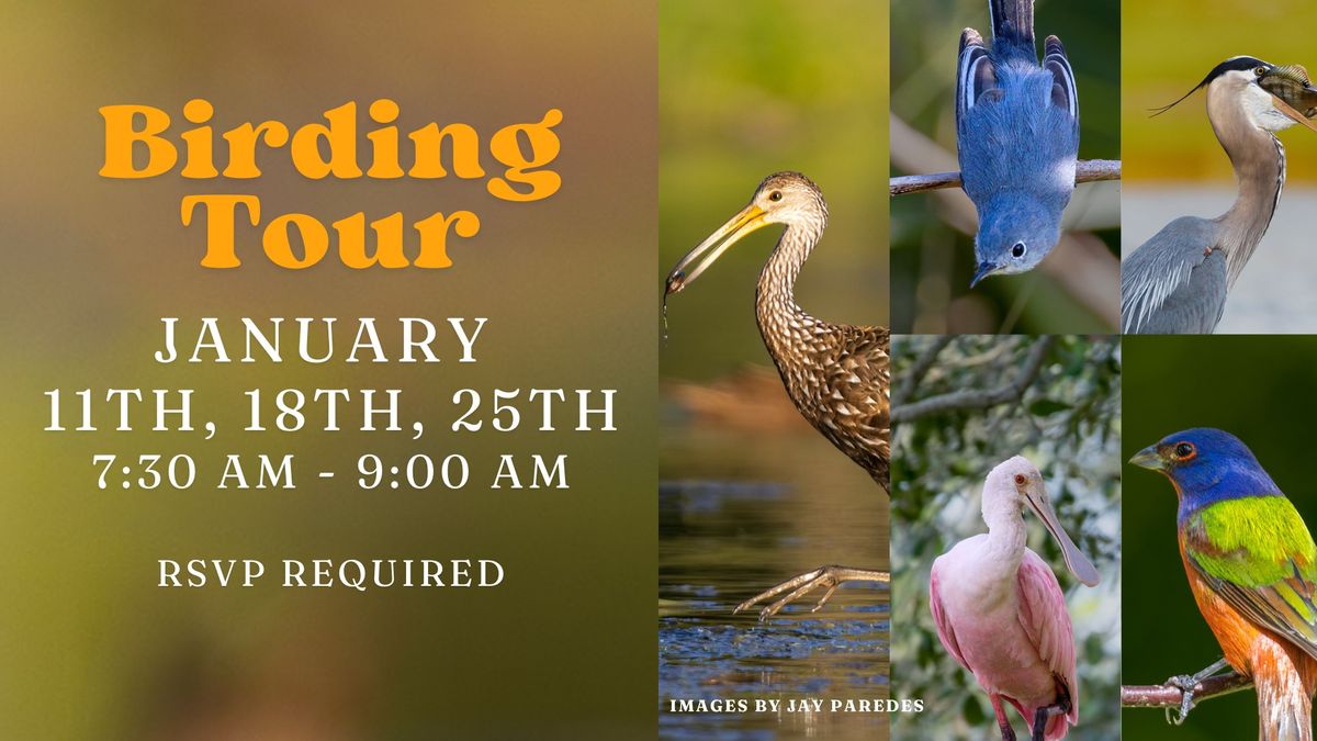 Birding Tour at the A.R.M. Loxahatchee National Wildlife Refuge