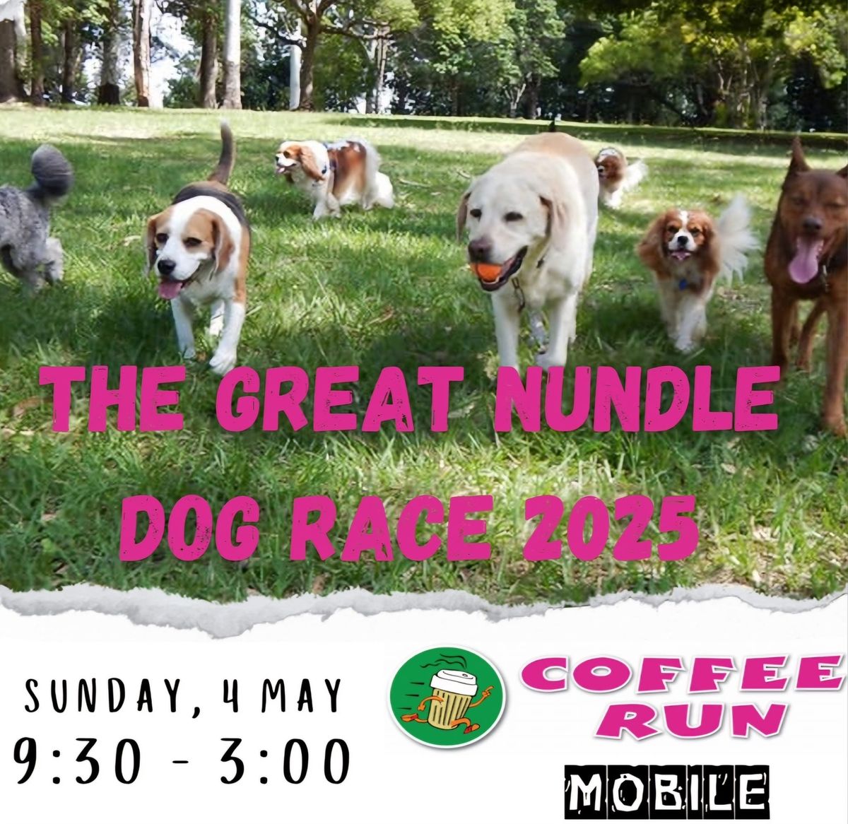 The Great Nundle Dog Race 