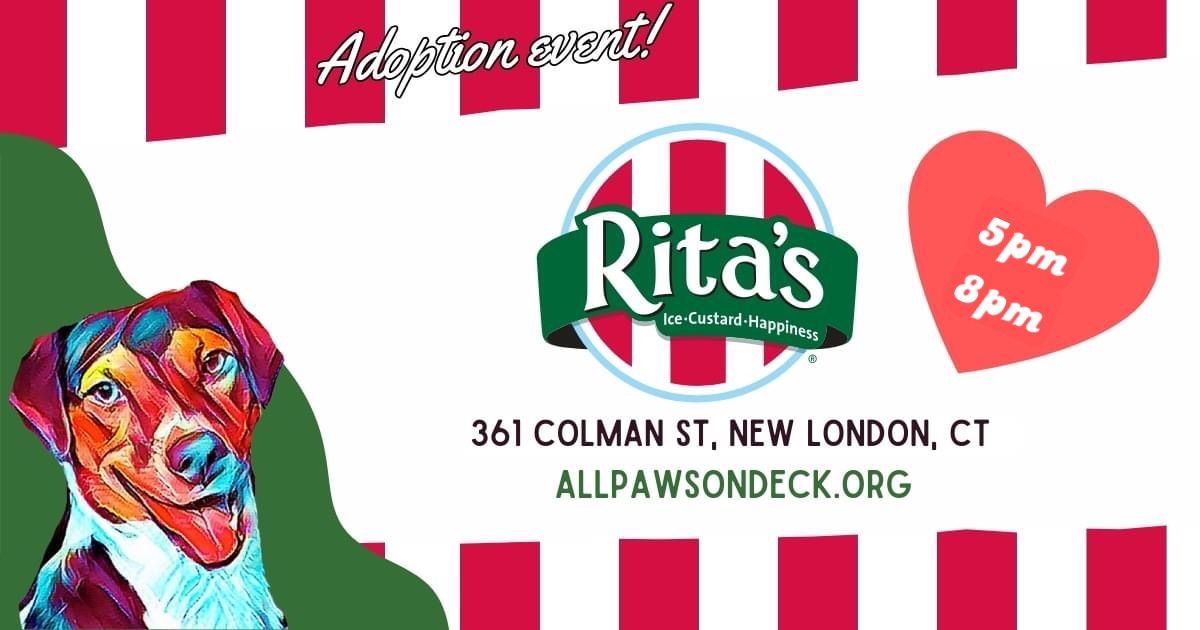 Rita's Ice Adoption Event