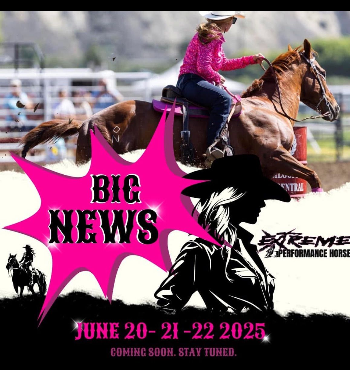 Extreme Performance Horses Summer Series 