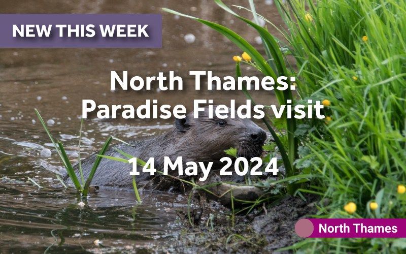 North Thames: Paradise Fields Park - rewilding project visit
