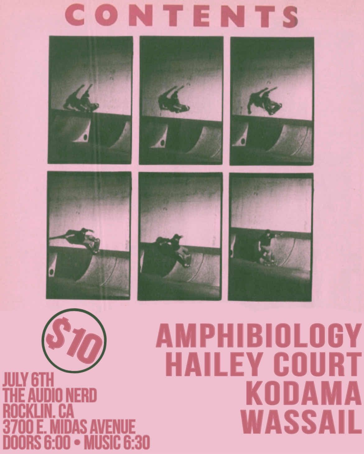 Amphibiology, Hailey Court, Kodama and Wassail Live at The Audio Nerd