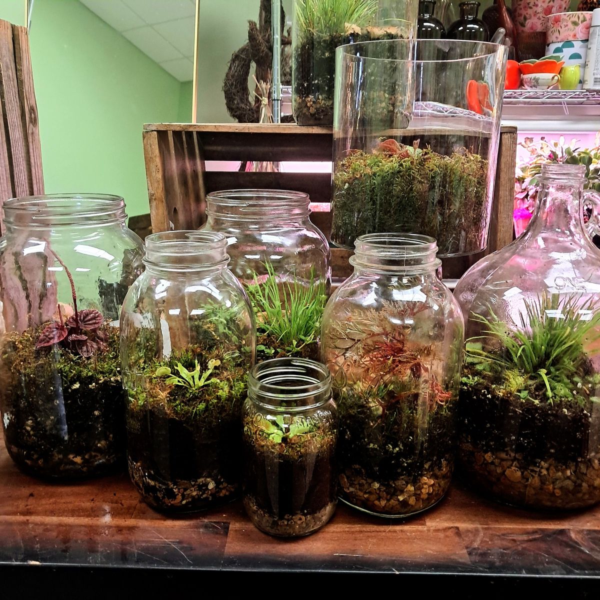 Beginning Terrarium Workshop