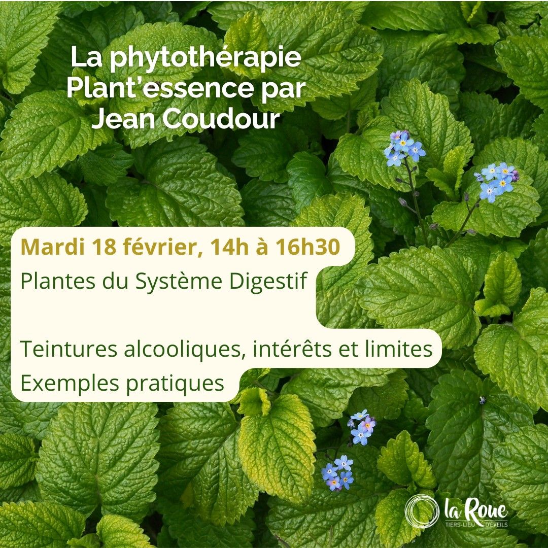 D\u00e9couverte de la phytoth\u00e9rapie - le syst\u00e8me digestif 