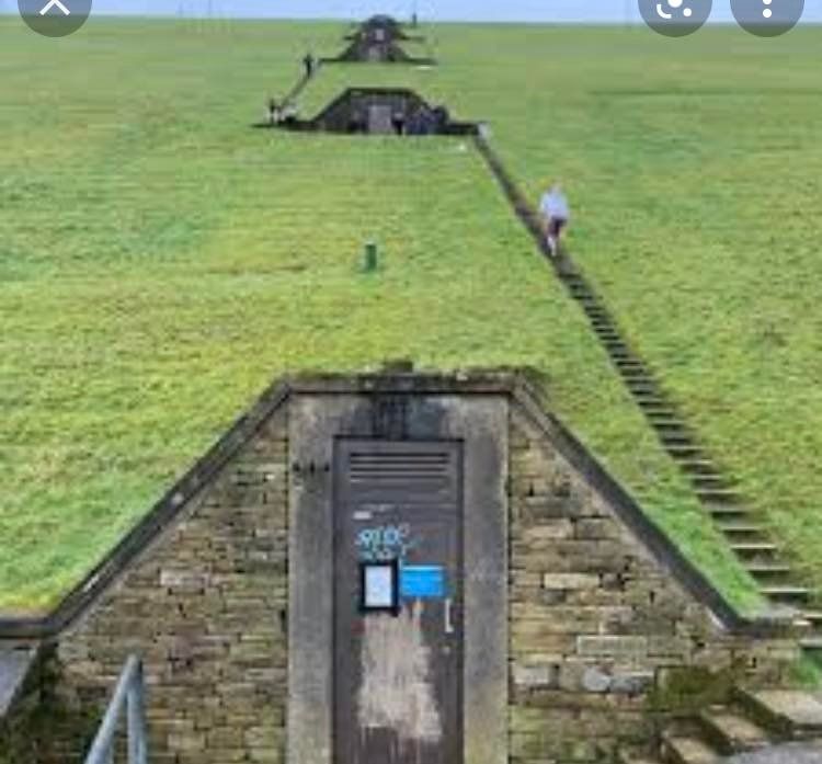 Scammy Steps Challenge