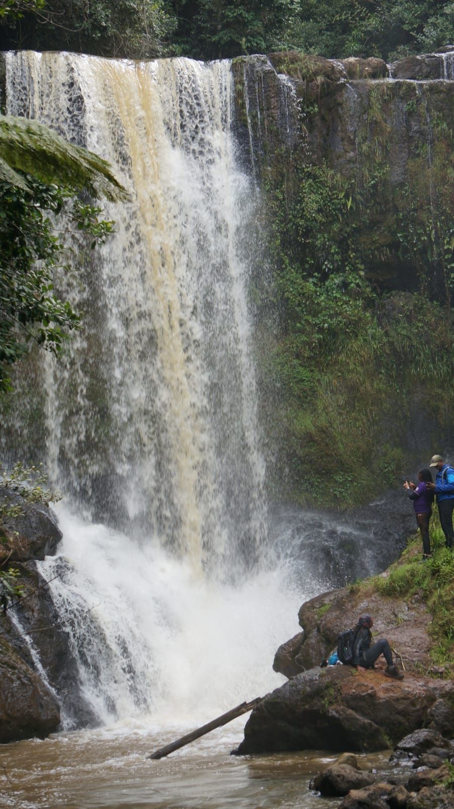 Hikemaniak Kieni Forest Bathing and Waterfall Chase