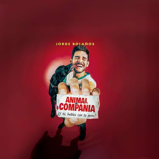 Animal de Compa\u00f1\u00eda en Le\u00f3n