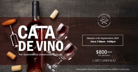 CATA DE VINO