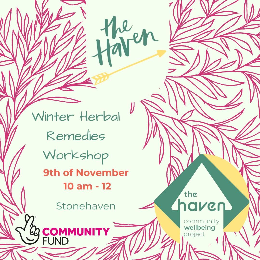 Winter Herbal Remedy Workshop