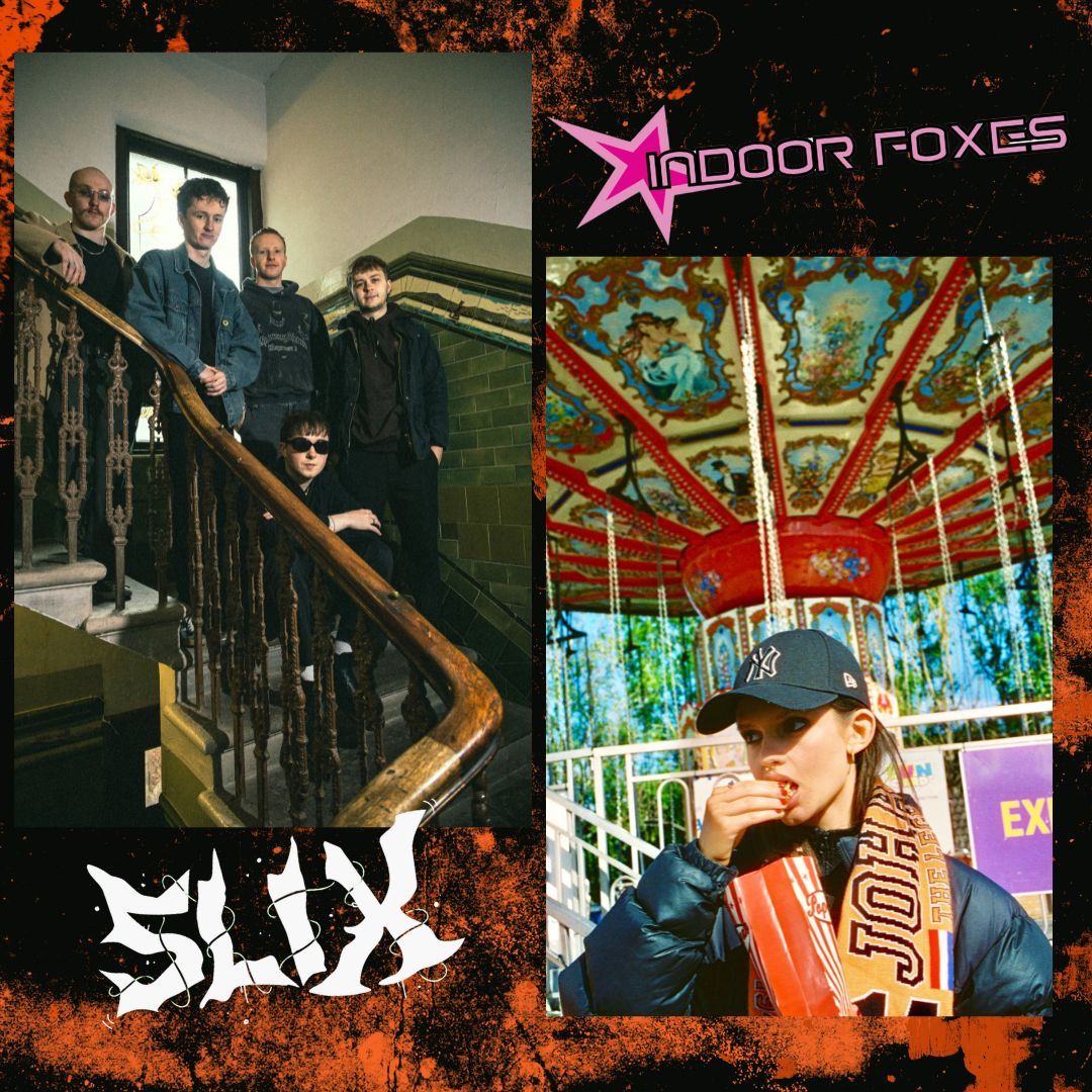 Indoor Foxes \/\/ SLIX