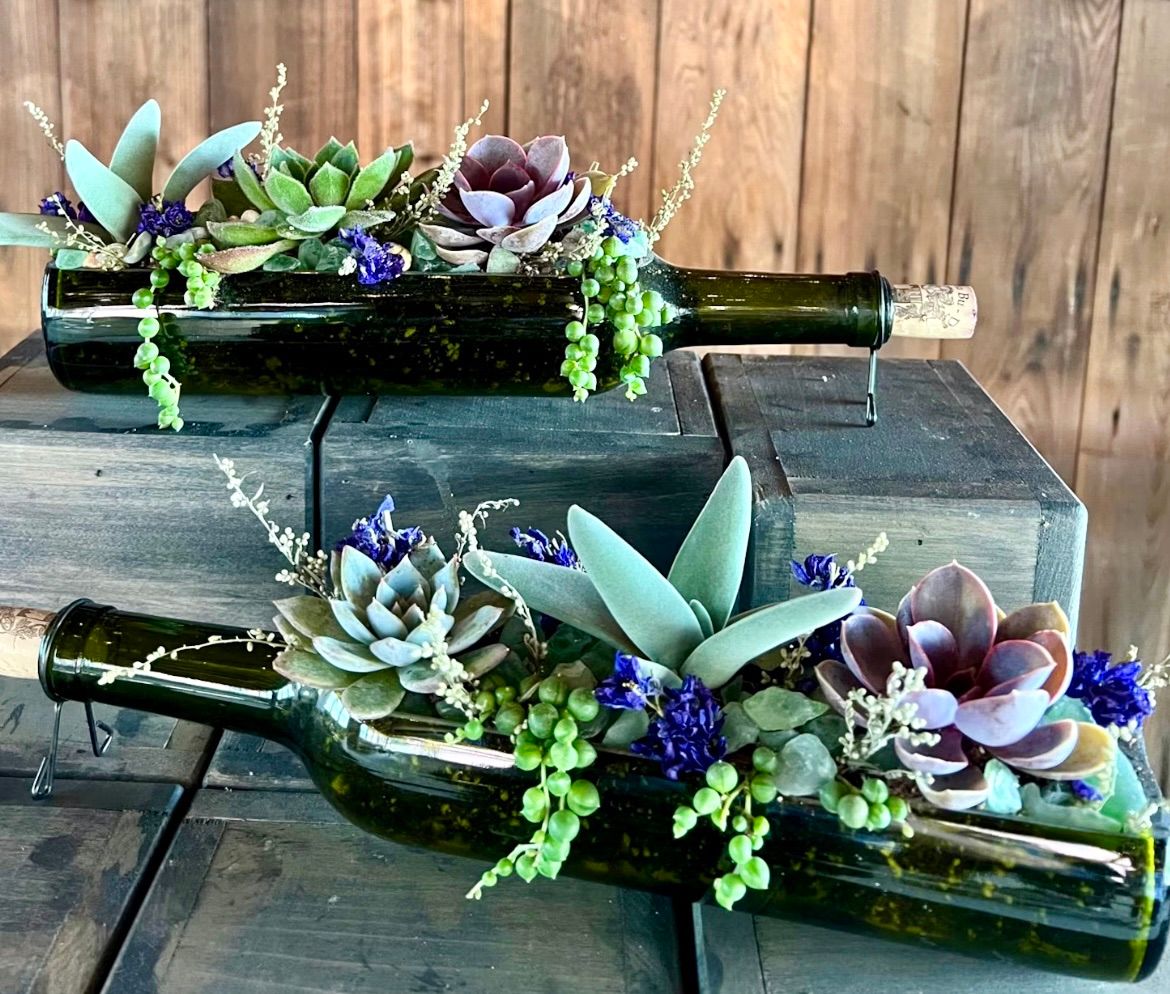 Wine bottle Succulent Planter 