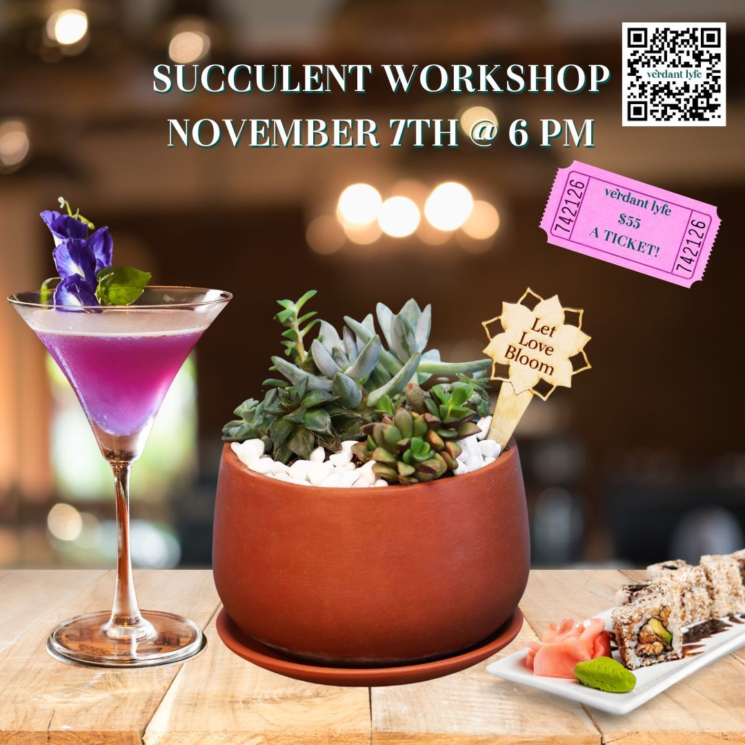 Succulent Arrangement Workshop