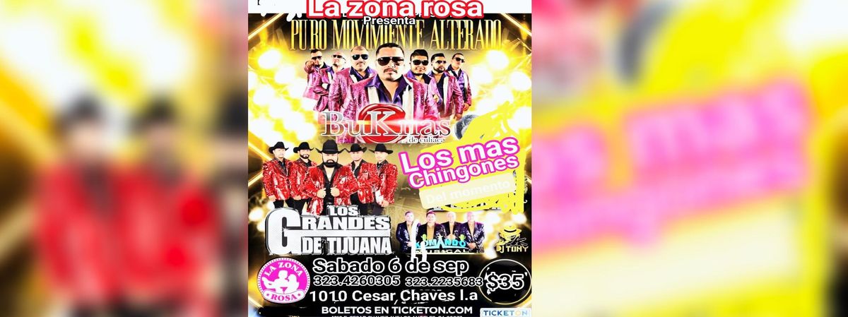 BUKNAS DE CULIACAN, LOS GRANDES DE TIJUANA Y MAS 