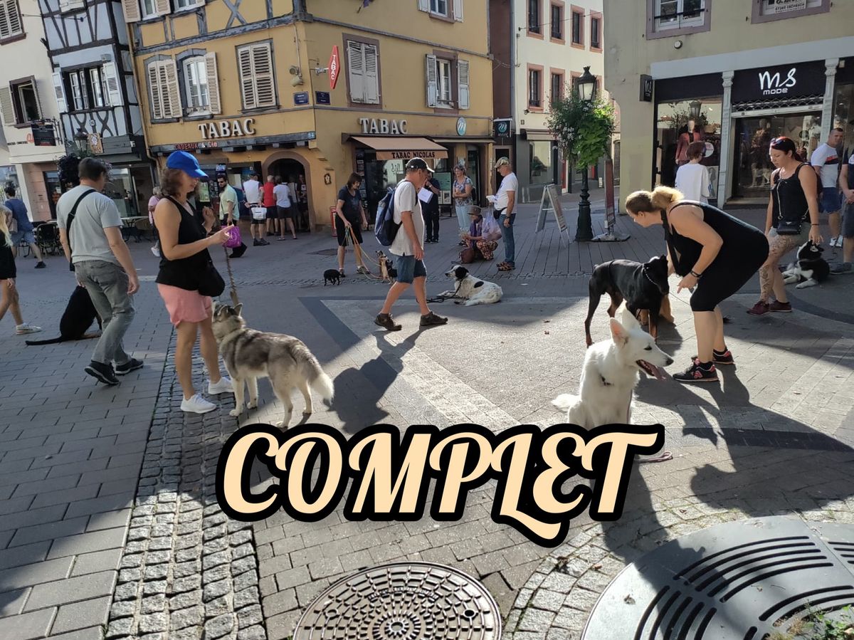 \u00ab Complet \u00bb Cours collectif en ville 