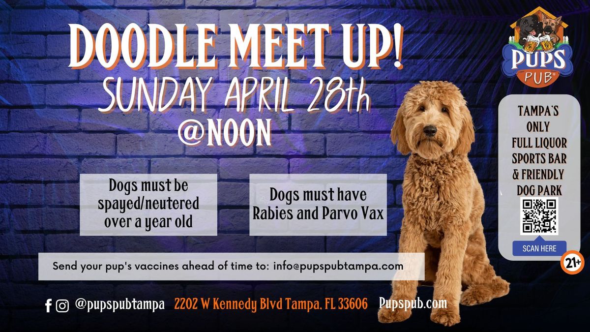 Doodle Meet Up At Pups Pub Tampa!