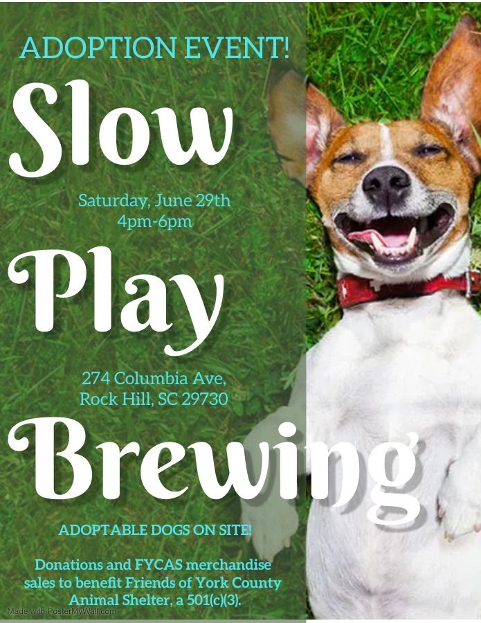 FYCAS Adoption Event at Slow Play Brewing