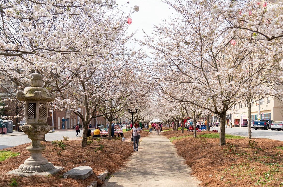 Third Street Park Festivities 