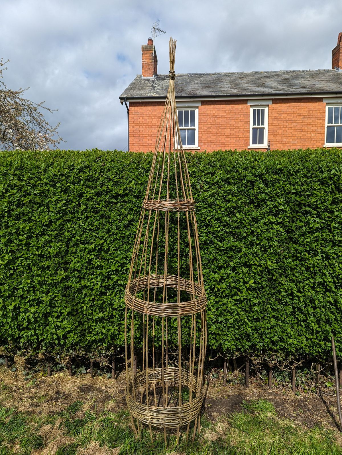 Craft Your Own Willow Obelisk\/Plant Support