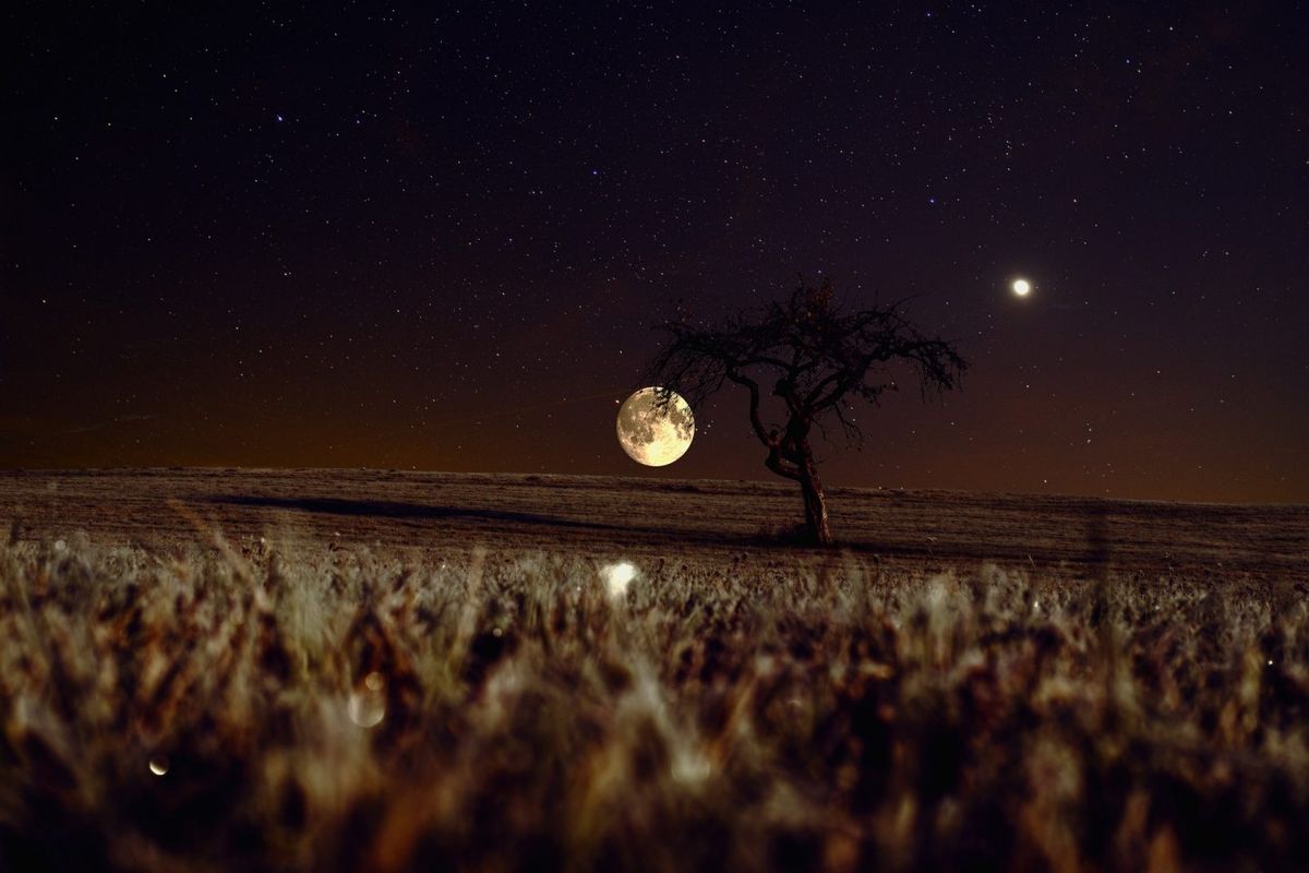 [10] Dales Countryside Museum Dark Skies Festival \u2013 Experience the Night Sky with Richard Darn