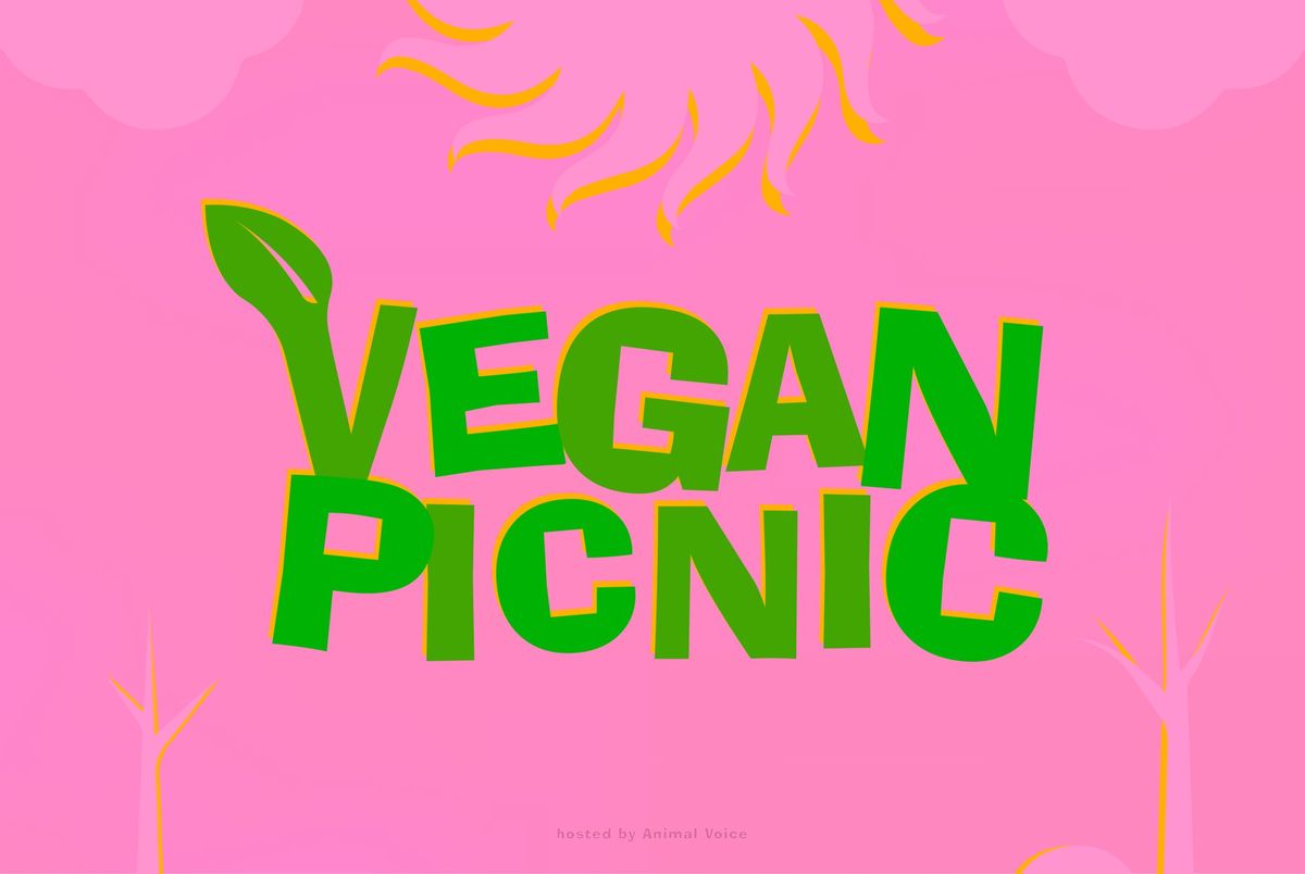 Vegan Indoor picnic! #4