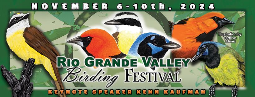 31st Annual Rio Grande Valley Birding Festival!