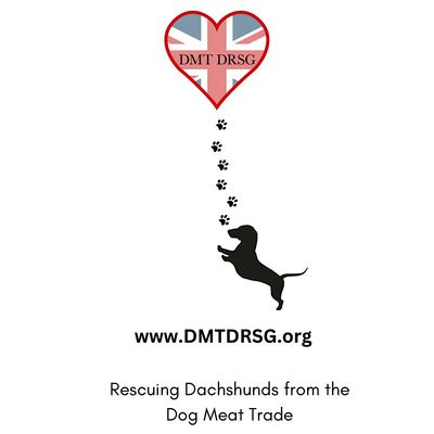Dog Meat Trade Dachshund Rescue and Support Group