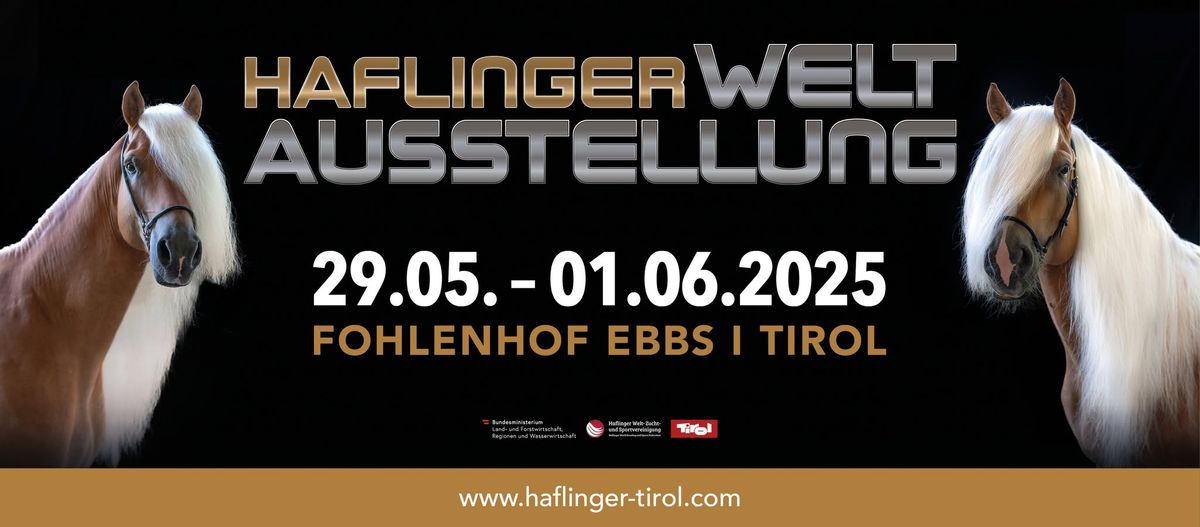 Haflinger Welt Ausstellung 2025