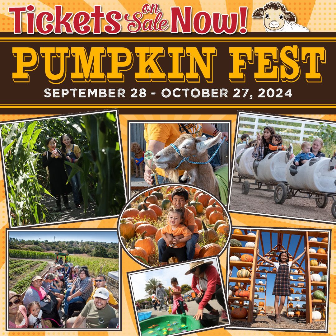 Pumpkin Fest 