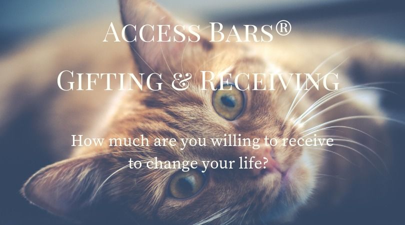 Access Bars Gifting & Receiving