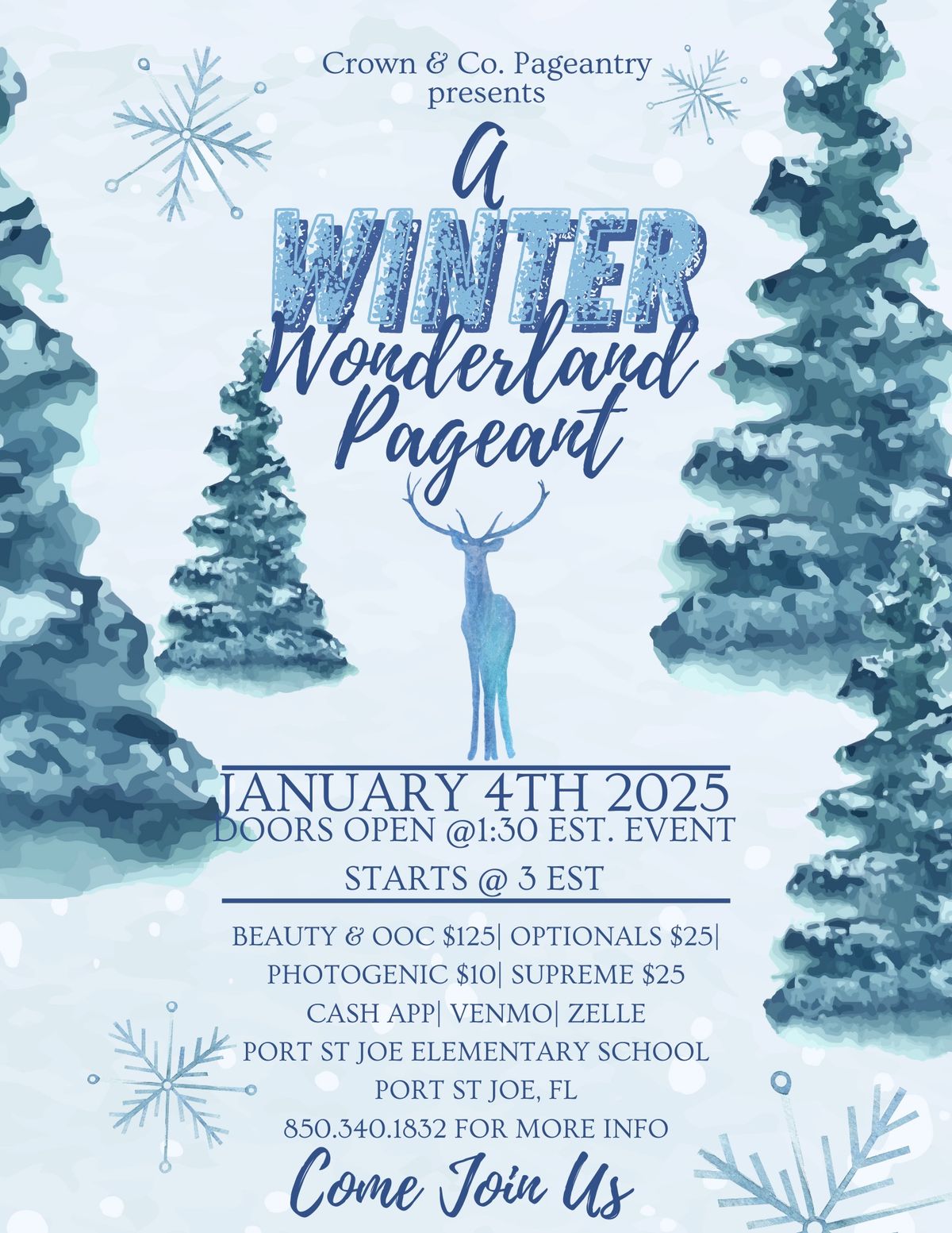 Winter Wonderland Pageant