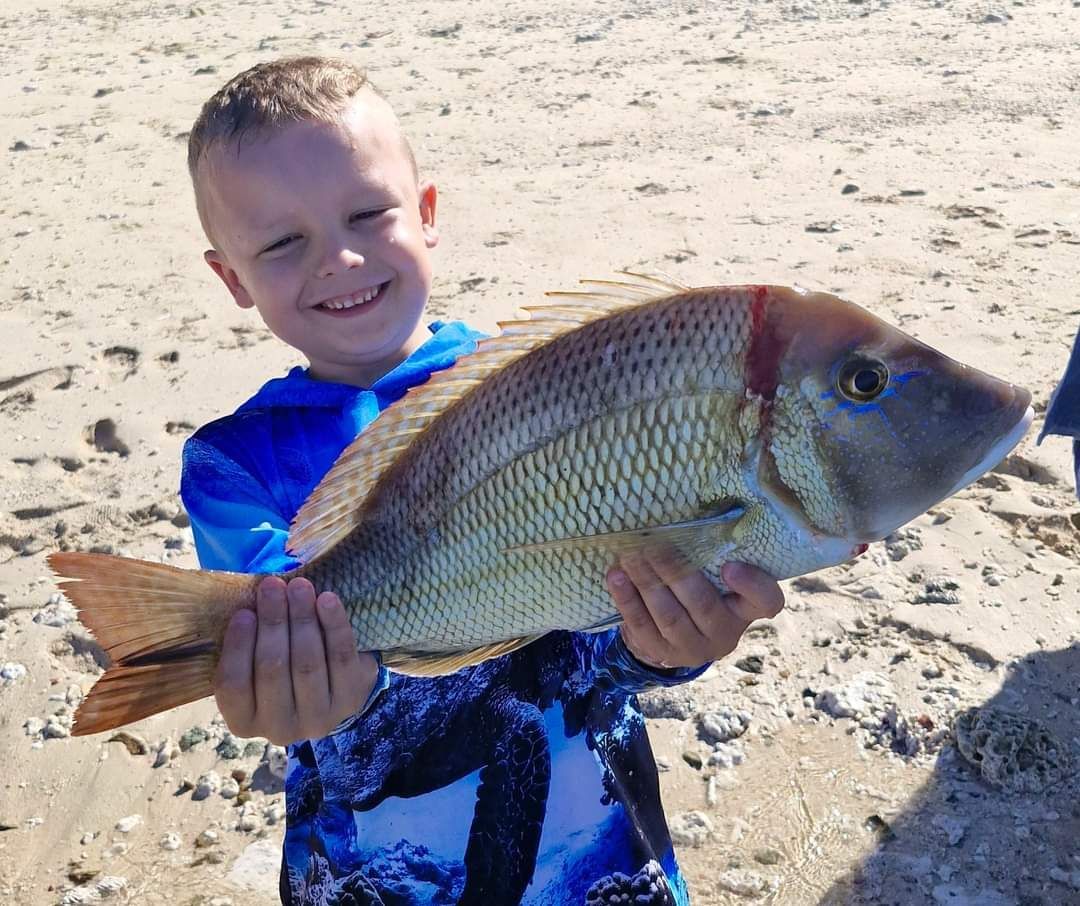 Shute harbour fishing comp 