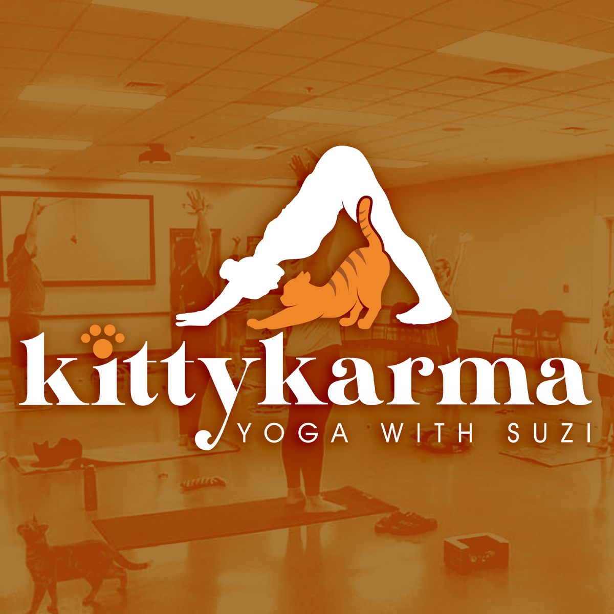 Kitty Karma Yoga & Team Kitten Adoption Hour at Yellow Brick Yoga