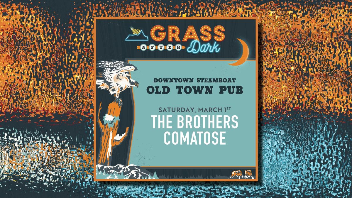 The Brothers Comatose - Grass After Dark - An Official WWG Afterparty