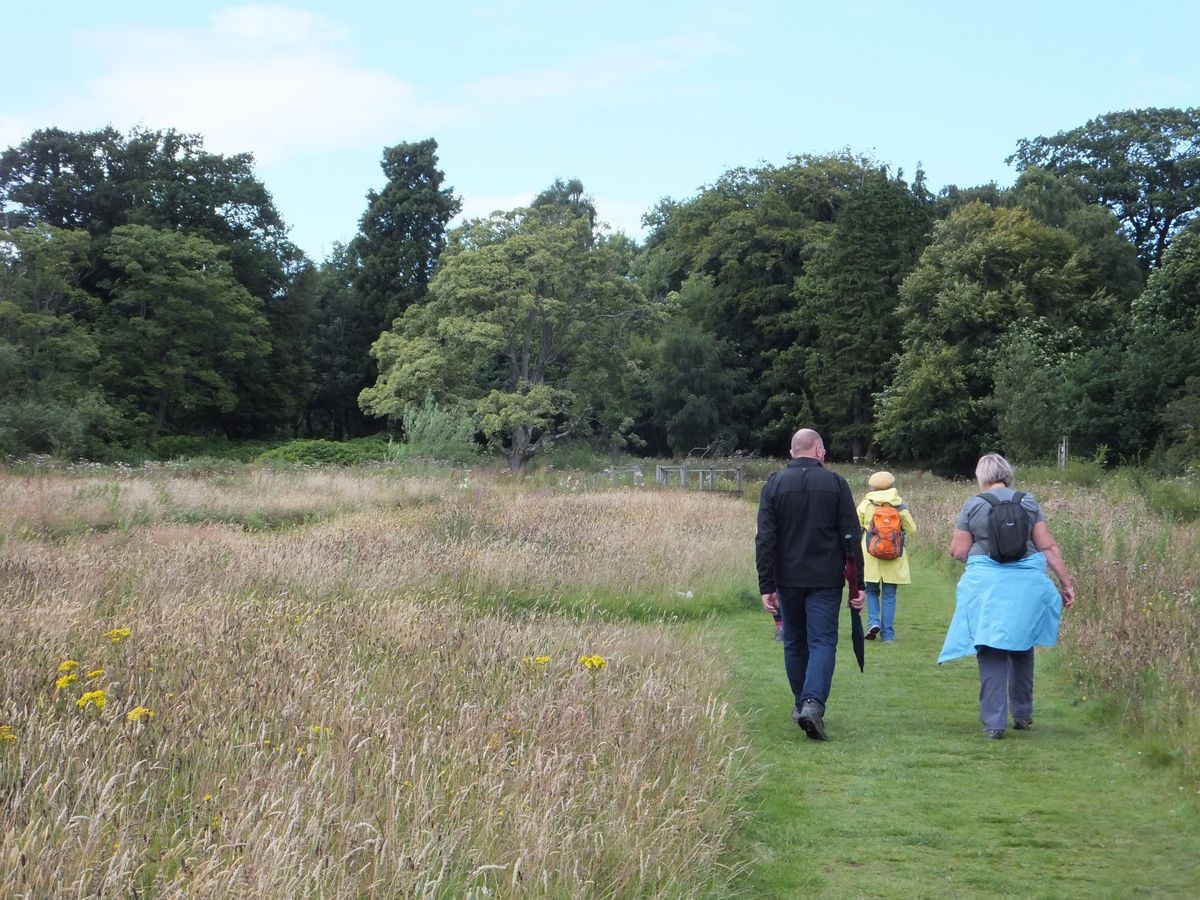 Nature connection walk - Kinghorn Loch