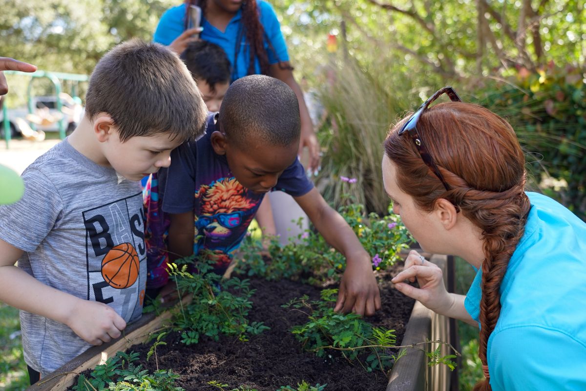 Nature Tots - Toddler Enrichment 