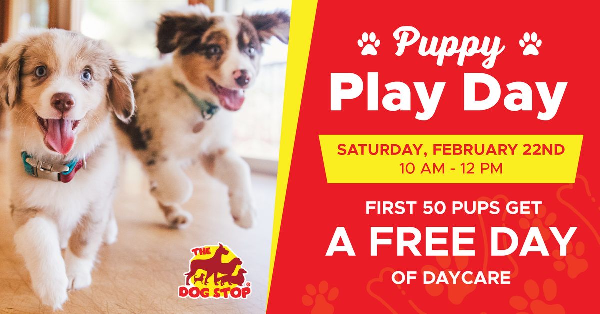 Puppy Play Day At The \u2728NEW\u2728 The Dog Stop\u00ae Chicago, Mundelein IL\ud83d\udc3e