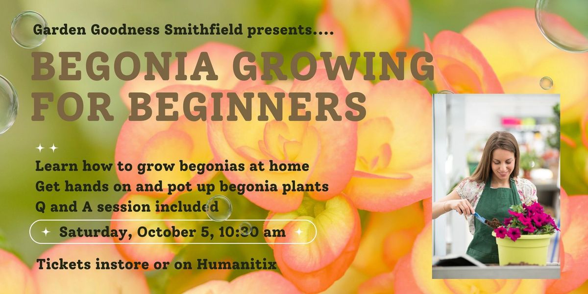 Begonia Growing for Beginners