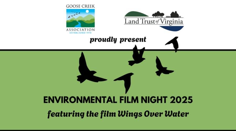 Free Environmental Film Night: Wings Over Water