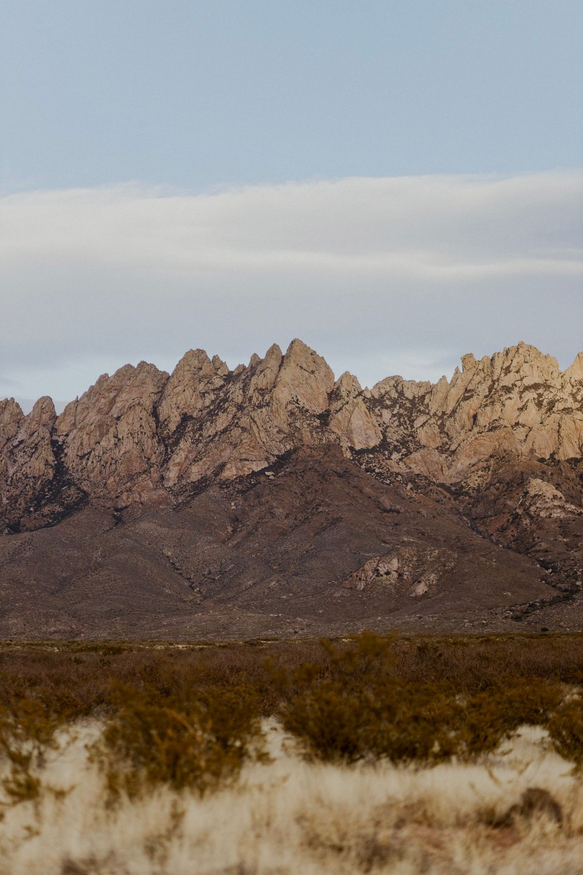 Dripping Springs Guided Hike