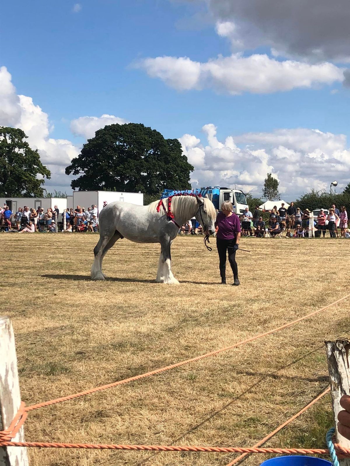 The 2024 Uffington White Horse Show 