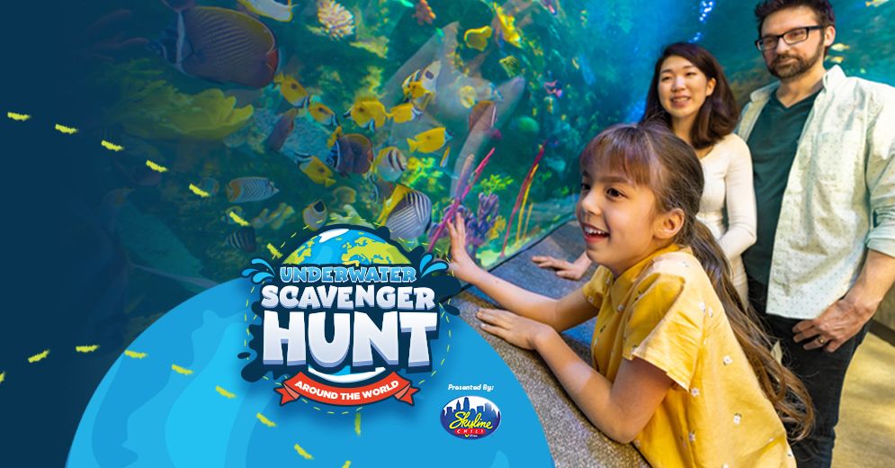 Underwater Scavenger Hunt Around the World 