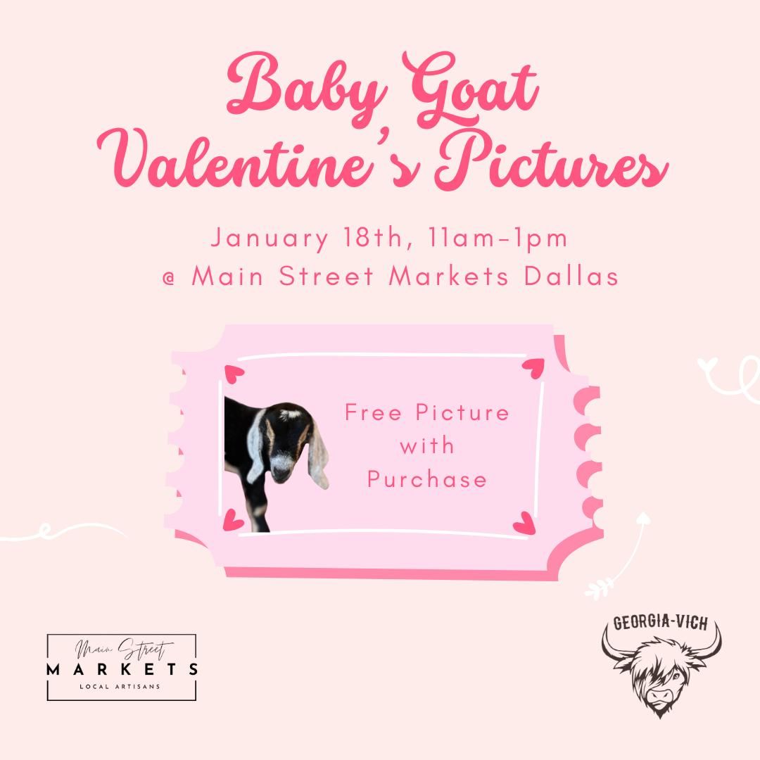 1\/18\/25 Baby Goat Valentine's Pictures - Dallas, GA