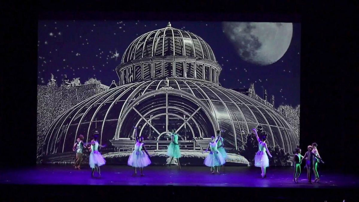 The Brooklyn Nutcracker