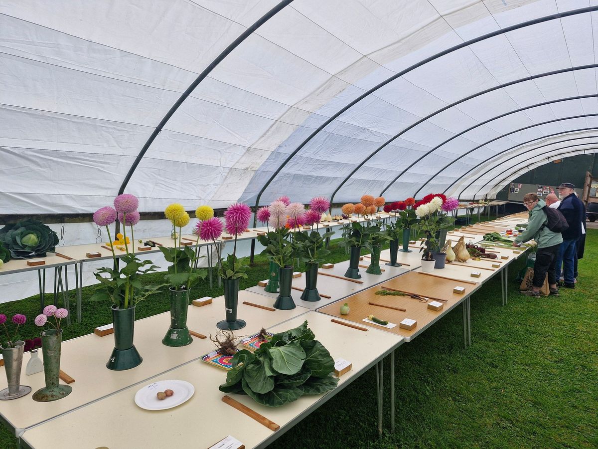 Harden Beck Horticultural Society Summer Show