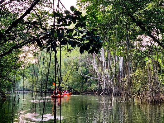 Khatib Bongsu River Trail - FULL