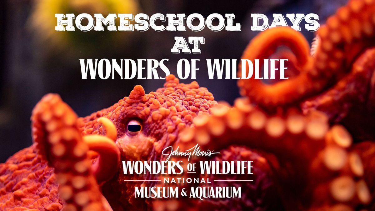 Homeschool Days at Wonders of Wildlife