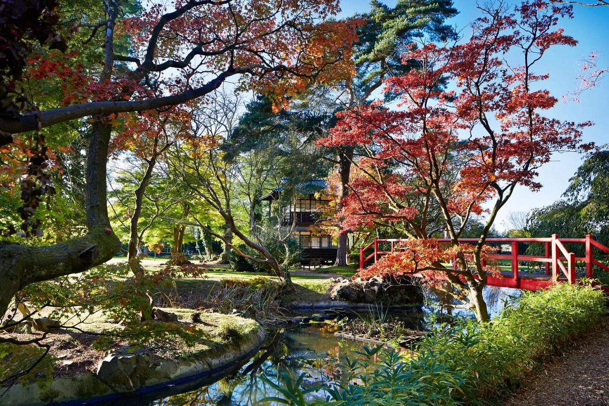 Autumn Garden Tour with Afternoon Tea